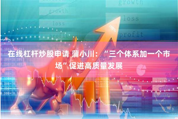 在线杠杆炒股申请 蒲小川：“三个体系加一个市场”促进高质量发展