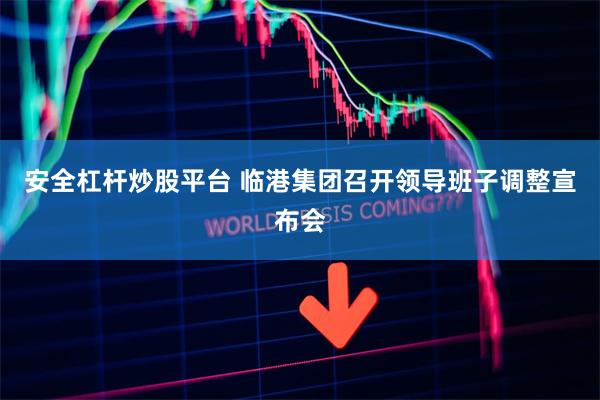 安全杠杆炒股平台 临港集团召开领导班子调整宣布会