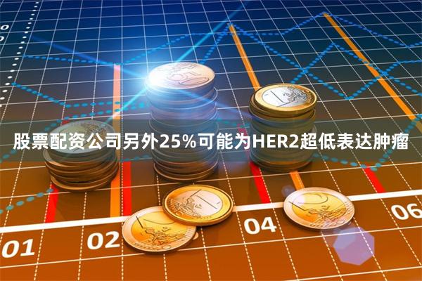 股票配资公司另外25%可能为HER2超低表达肿瘤